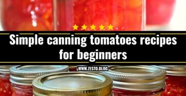Best fresh tomato recipes for summer harvest