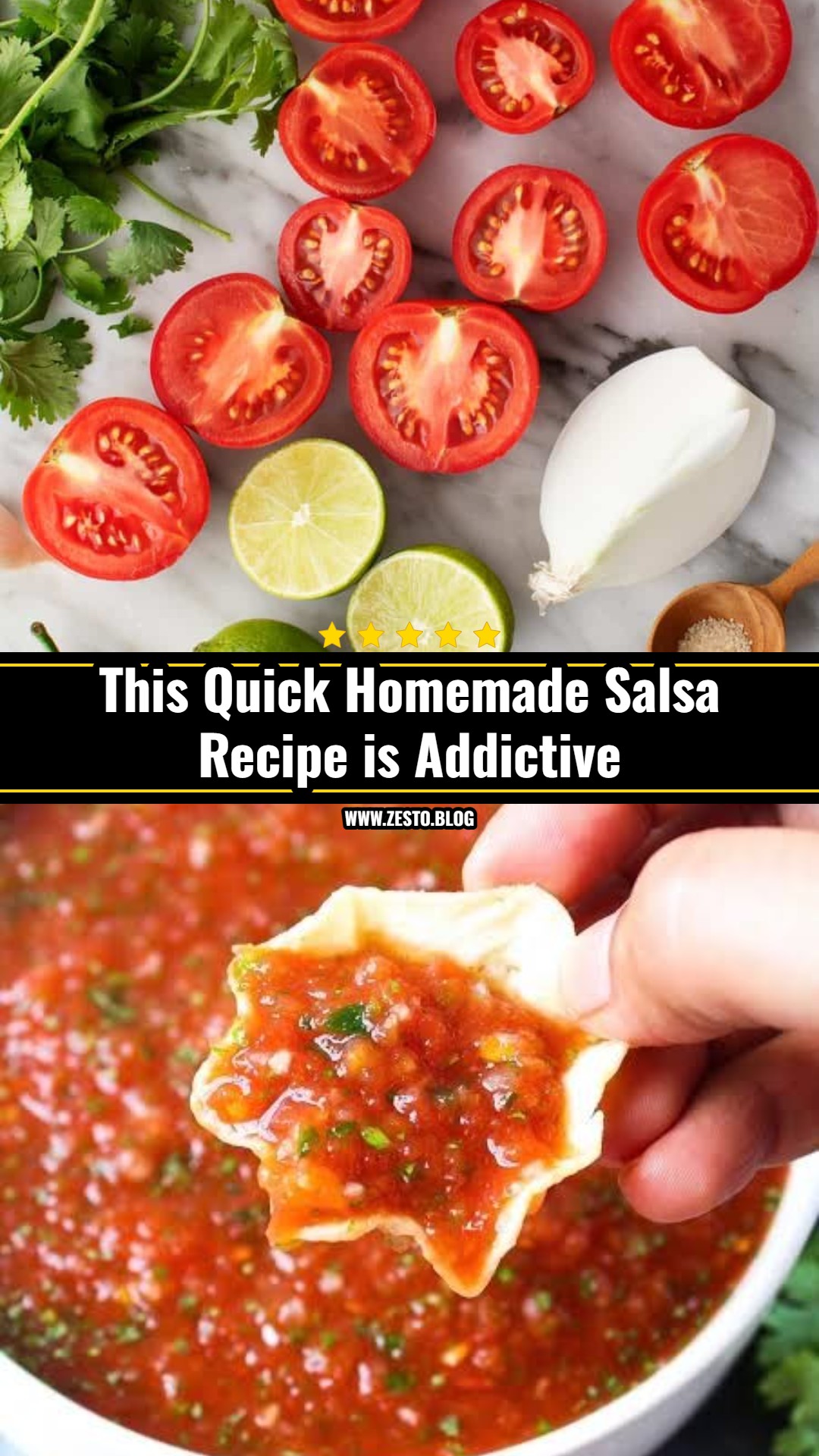 The Best Homemade Salsa You Will Ever Make