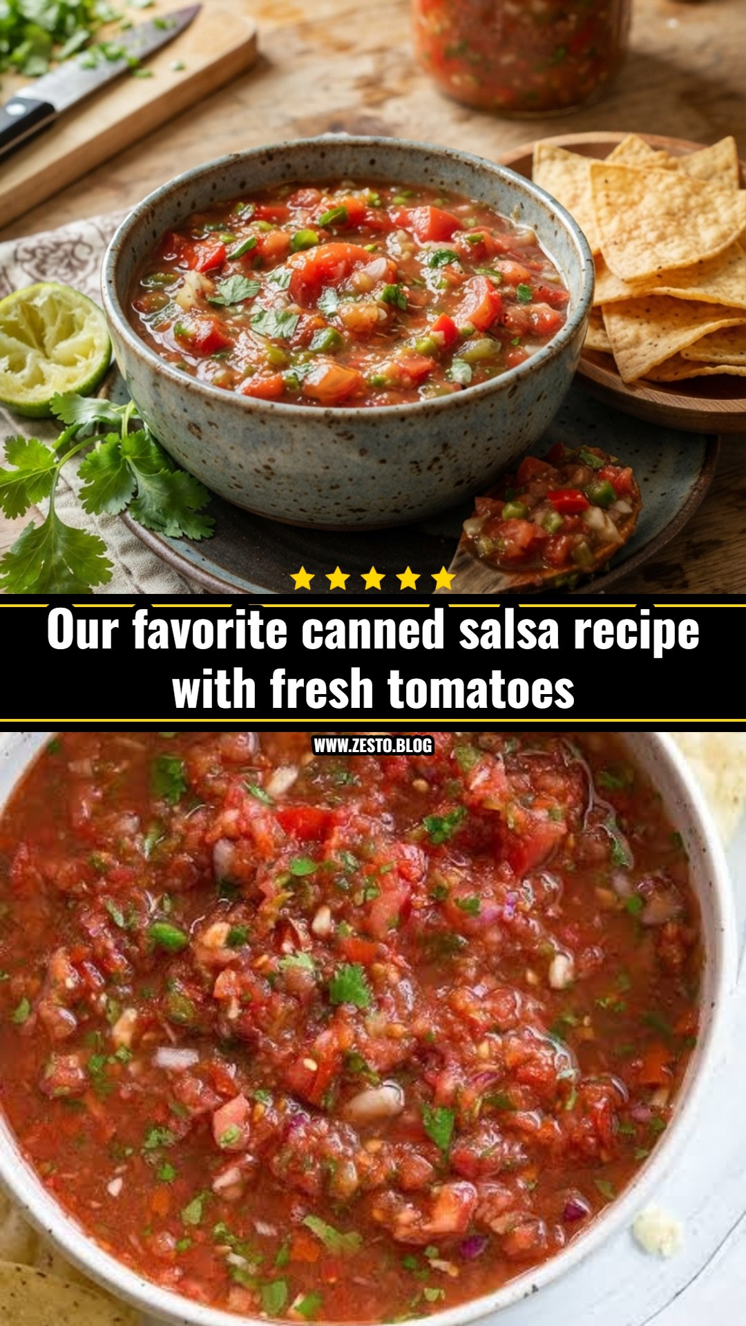 Best canned salsa recipe with fresh tomatoes